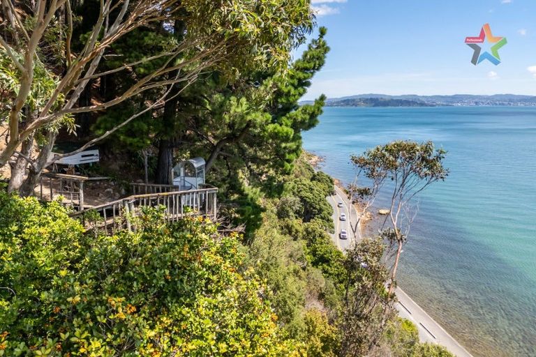 Photo of property in 321 Marine Drive, York Bay, Lower Hutt, 5013