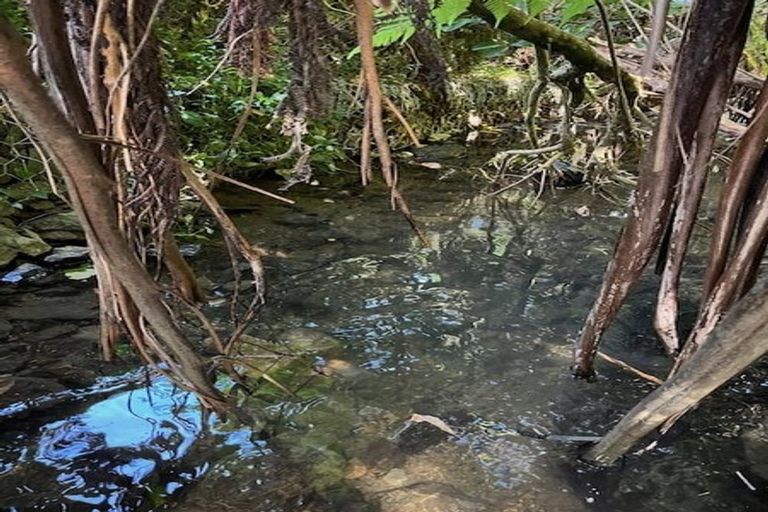 Photo of property in 344 Ohiro Road, Brooklyn, Wellington, 6021