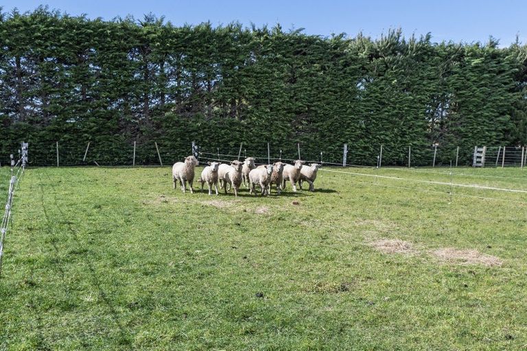 Photo of property in 4/1382 Courtenay Road, Kirwee, Darfield, 7571