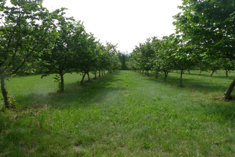 Photo of property in 599 Pesters Road, West Eyreton, 7475