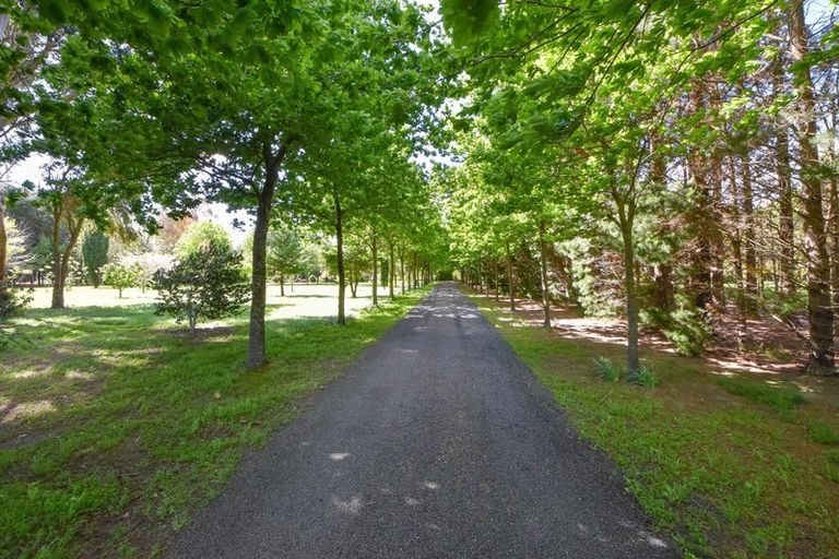 Photo of property in 265 No 1 Line, Tauwharenikau, Featherston, 5771