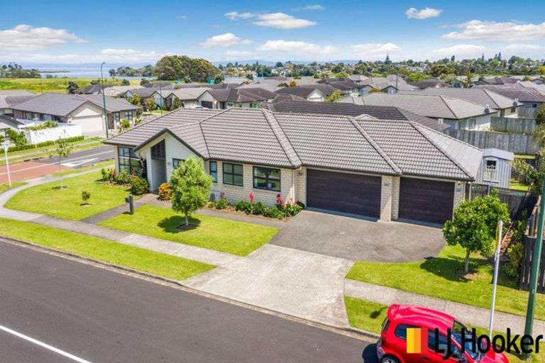 Photo of property in 45 Hadley Wood Drive, Wattle Downs, Auckland, 2103