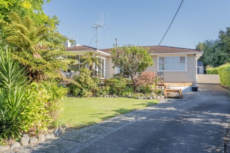 Photo of property in 97 Kawiu Road, Levin, 5510