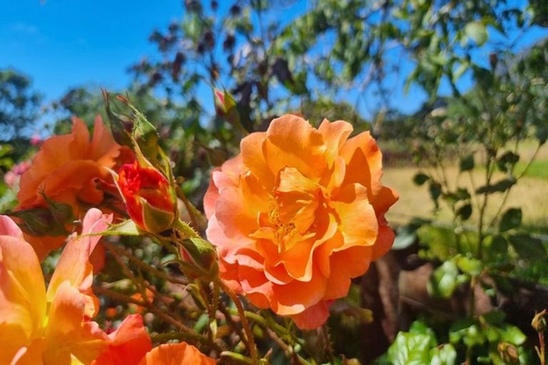 Photo of property in 92 Packard Road, Motupipi, Takaka, 7183