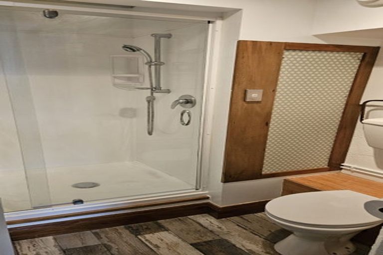 Photo of property in 58 Wilson Street, Newtown, Wellington, 6021