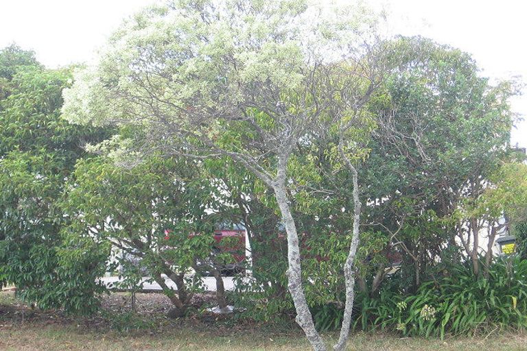 Photo of property in 2/70 Browns Bay Road, Rothesay Bay, Auckland, 0630