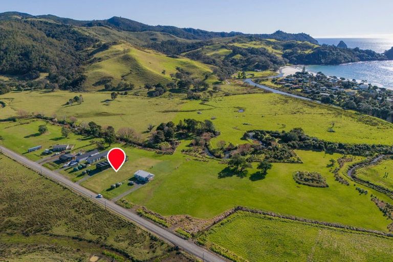 Photo of property in 136 Te Punga Road, Whangapoua, Coromandel, 3582