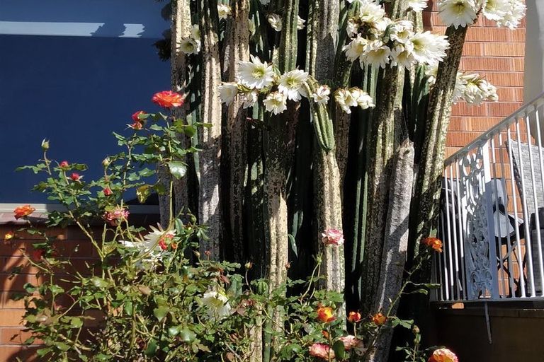 Photo of property in 574 Brighton Road, Westwood, Dunedin, 9035