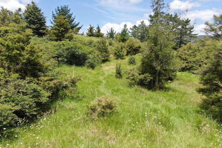 Photo of property in 65 Peria Valley Road, Kaitaia, 0481