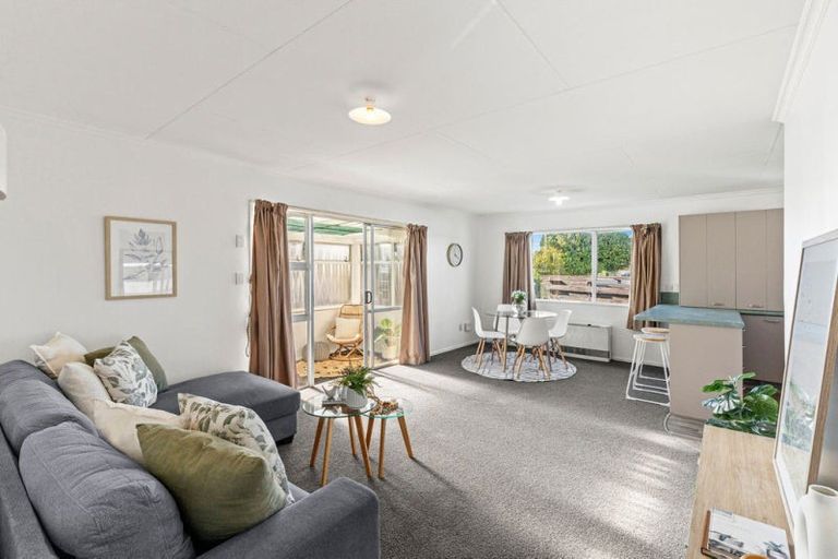 Photo of property in 15a Saunders Place, Gonville, Whanganui, 4501