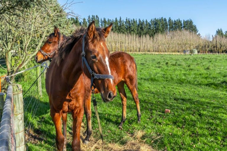 Photo of property in 664 Weedons Ross Road, West Melton, Christchurch, 7676