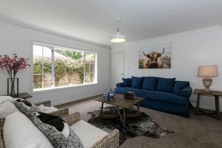Photo of property in 49 Reeve Drive, Havelock North, 4130
