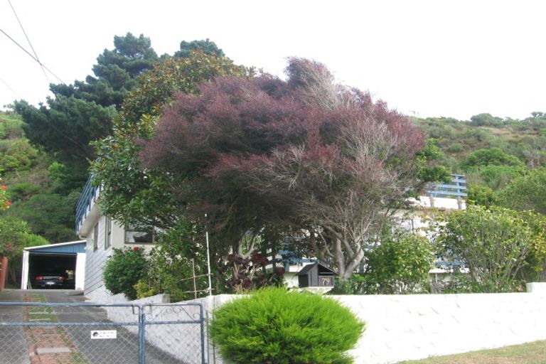 Photo of property in 79 Raukawa Street, Strathmore Park, Wellington, 6022