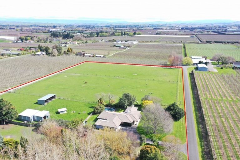 Photo of property in 77 Algernon Road, Longlands, Hastings, 4172