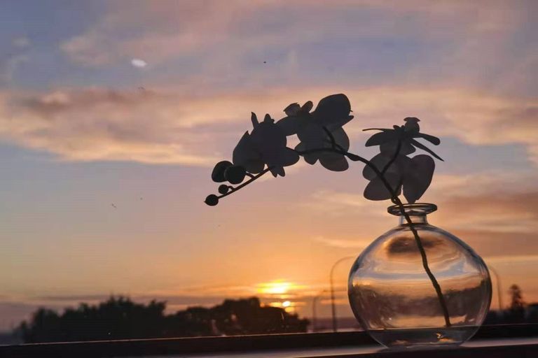 Photo of property in 4 Roberts Road, Matakatia, Whangaparaoa, 0930