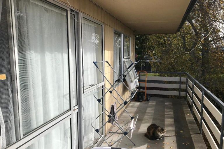 Photo of property in 5/14 Claudelands Road, Hamilton East, Hamilton, 3216