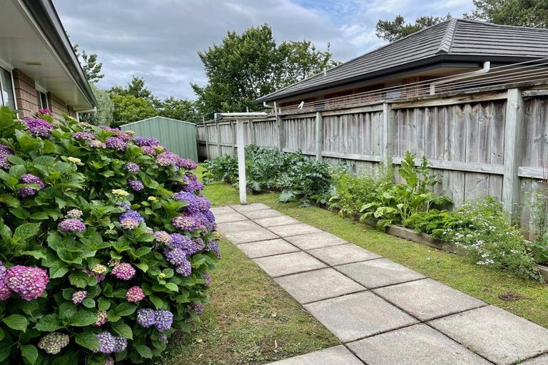 Photo of property in 35 Teal Place, Pyes Pa, Tauranga, 3112