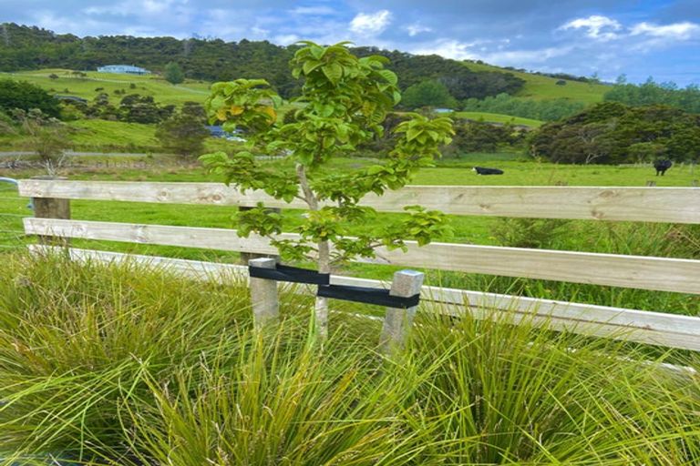 Photo of property in 68 Spioenkop Road, Mangawhai, 0573