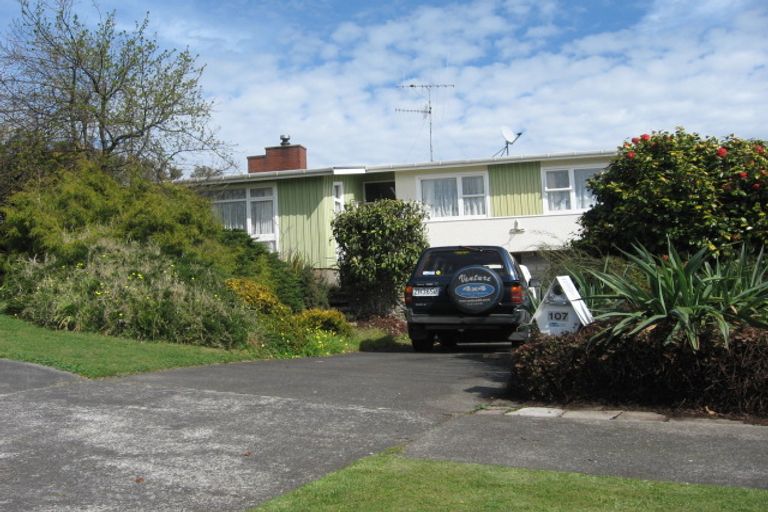 Photo of property in 107 Somerset Road, Springvale, Whanganui, 4501