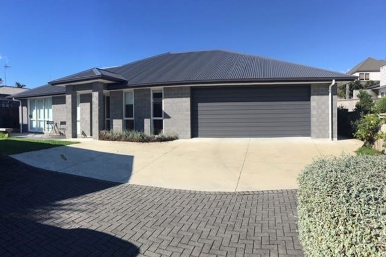 Photo of property in 19a Crescent Road, Otumoetai, Tauranga, 3110