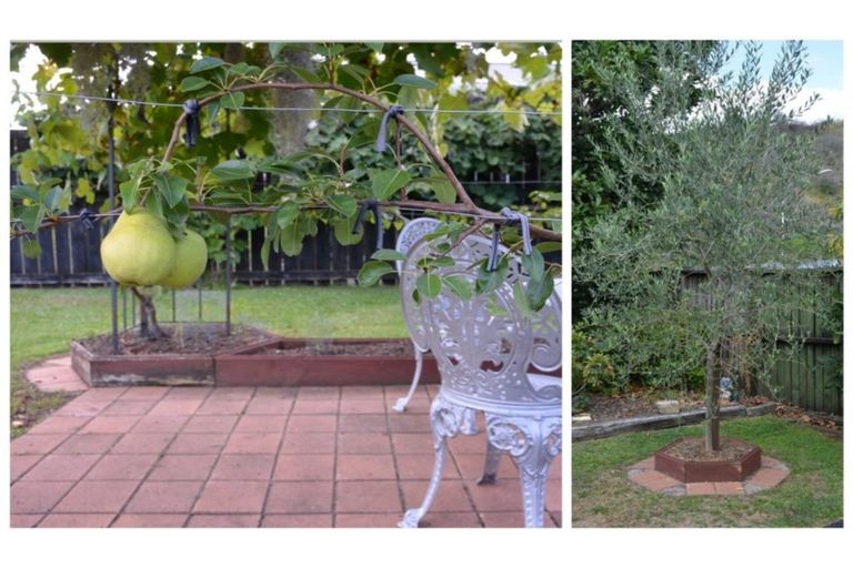 Photo of property in 11 Ballantrae, Kawerau, 3127