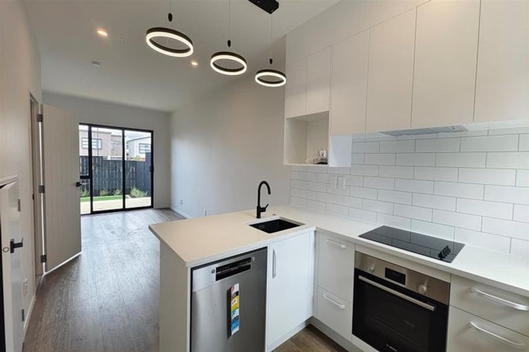 Photo of property in 47 Kiato Lane, Flat Bush, Auckland, 2019