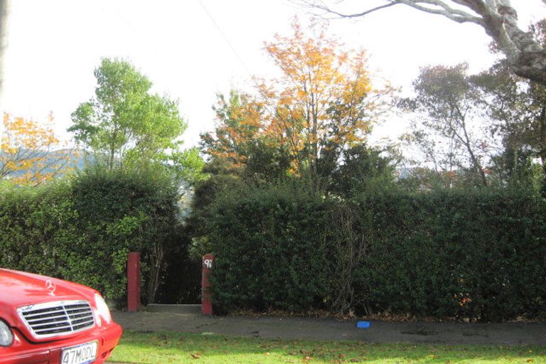 Photo of property in 91 Evans Street, Opoho, Dunedin, 9010