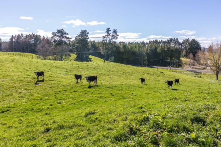 Photo of property in 49 Palmer Mill Road, Wairakei, Taupo, 3384