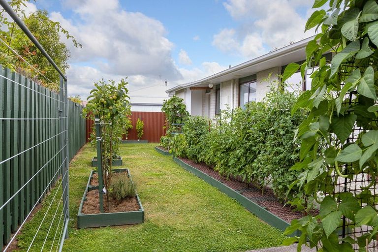 Photo of property in 4 Chamberlain Road, Masterton, 5810