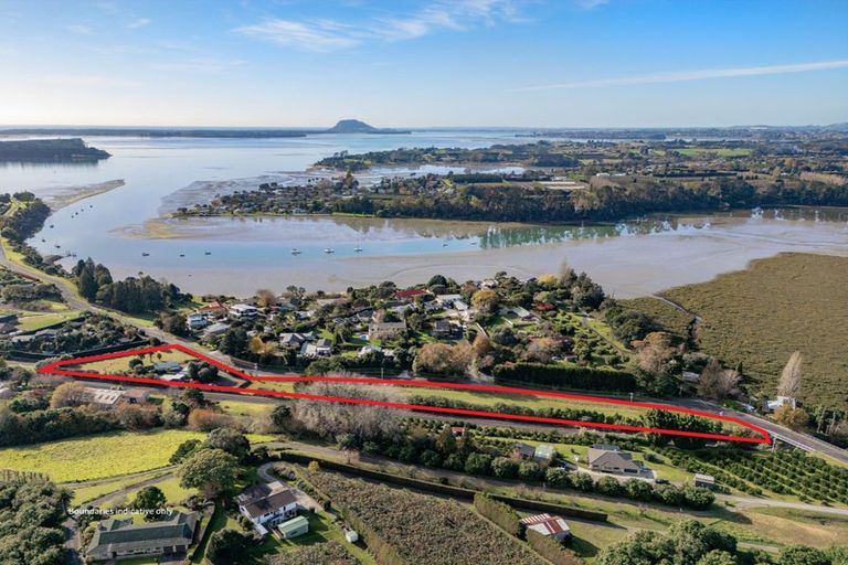 Photo of property in 249 Plummers Point Road, Whakamarama, Tauranga, 3172