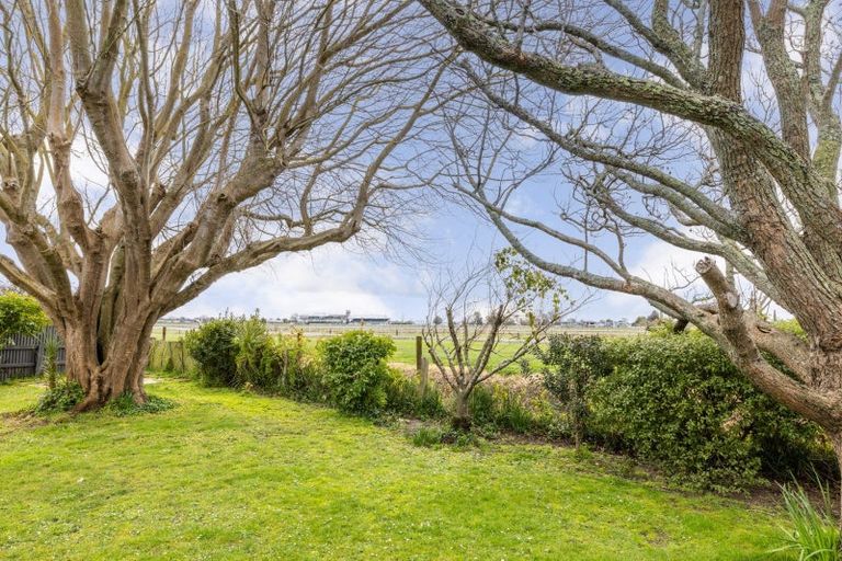 Photo of property in 109a Gascoigne Street, Raureka, Hastings, 4120