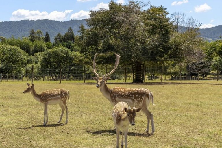 Photo of property in 58c Rawaka Drive, Katikati, 3129