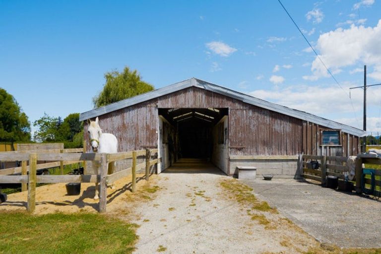 Photo of property in 952 Racecourse Road, Te Awamutu, 3800