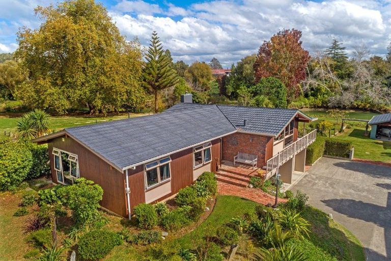 Photo of property in 53 Grant Road, Whataupoko, Gisborne, 4010