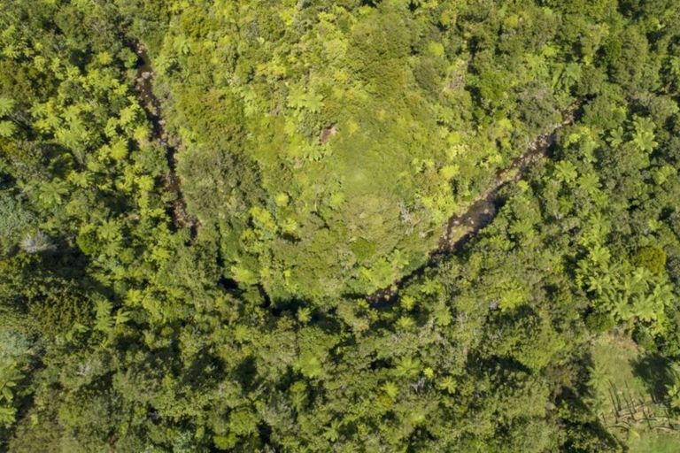 Photo of property in 137 Ross Road, Whakamarama, Tauranga, 3179