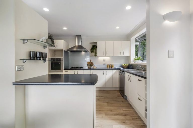 Photo of property in 53 Lynden Avenue, Hillcrest, Auckland, 0627