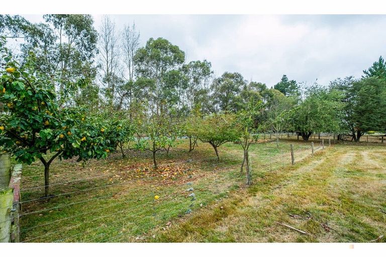 Photo of property in 21 Pleasant Valley Road, Geraldine, 7991