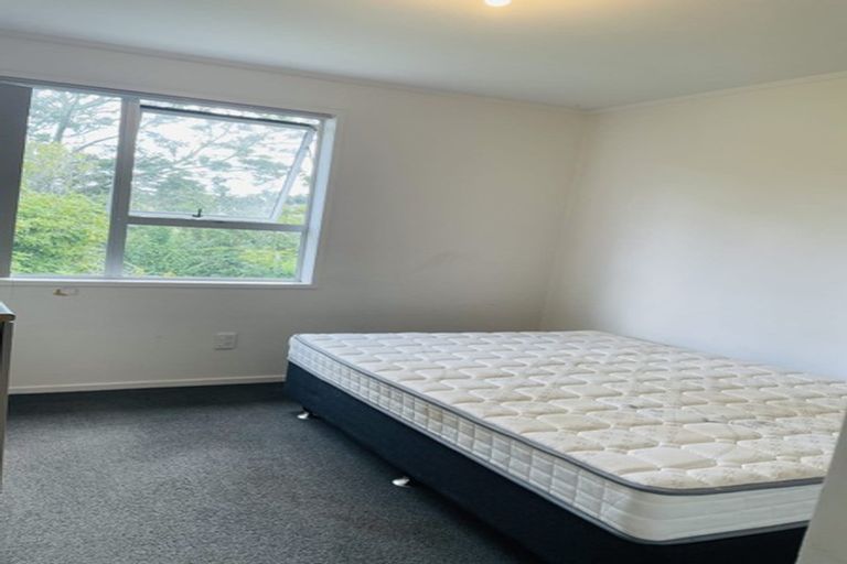 Photo of property in 117 Riverpark Crescent, Henderson, Auckland, 0610