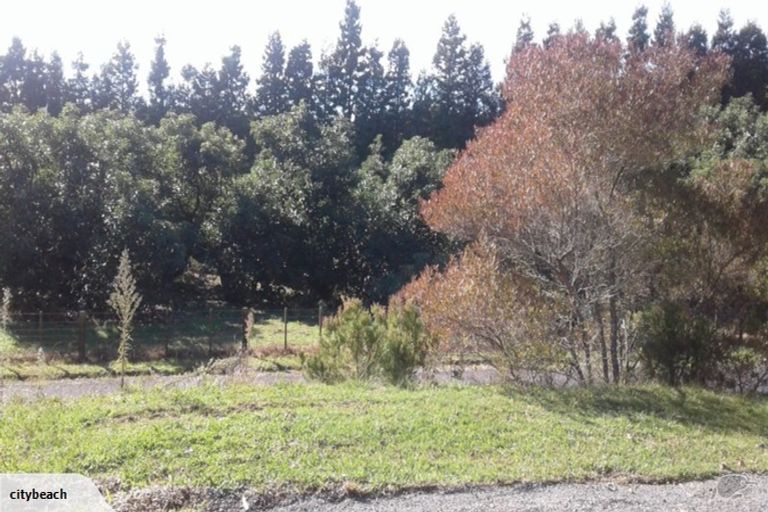 Photo of property in 121 Prole Road, Omokoroa, Tauranga, 3172