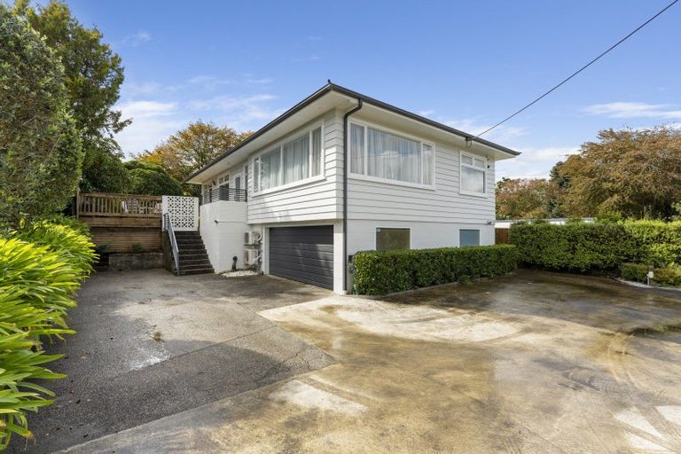Photo of property in 25 Macarthur Street, Levin, 5510