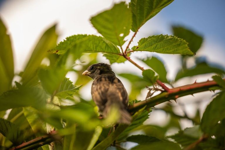 Photo of property in 30b Dart Place, Fernhill, Queenstown, 9300