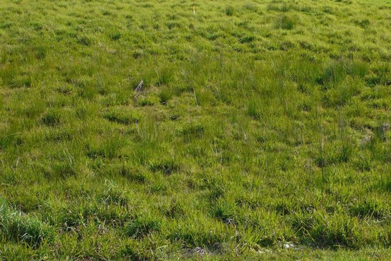 Photo of property in 50 George Street, Riverhead, 0820