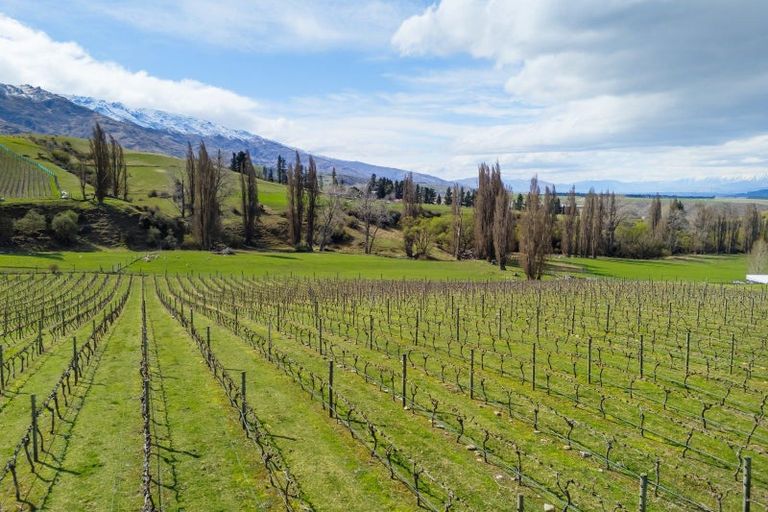 Photo of property in 204 Heaney Road, Cromwell, 9384