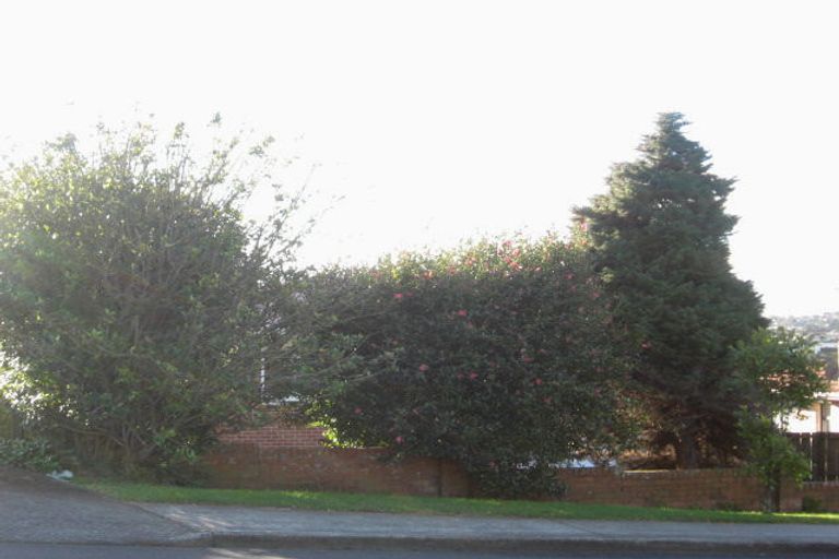 Photo of property in 1/22 Orams Road, Hillpark, Auckland, 2102