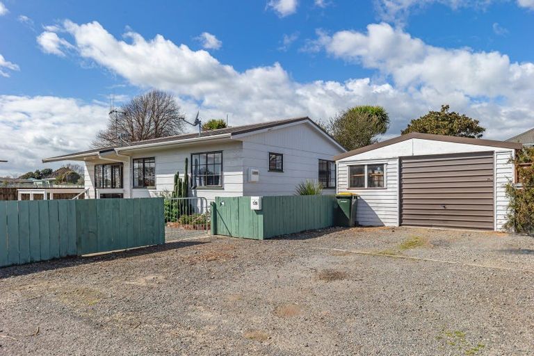 Photo of property in 12b Douglas Street, Levin, 5510
