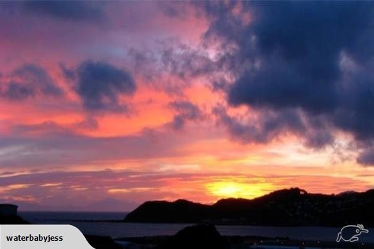 Photo of property in 46 Raukawa Street, Strathmore Park, Wellington, 6022