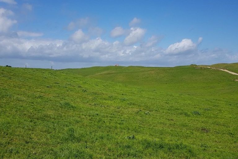 Photo of property in 110a Colville Road, Dargaville, 0310