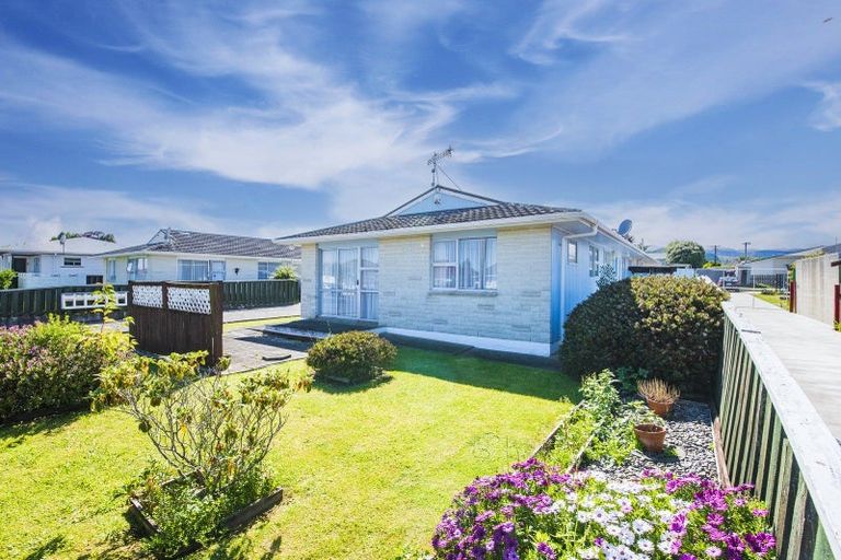 Photo of property in 60c Winchester Street, Levin, 5510