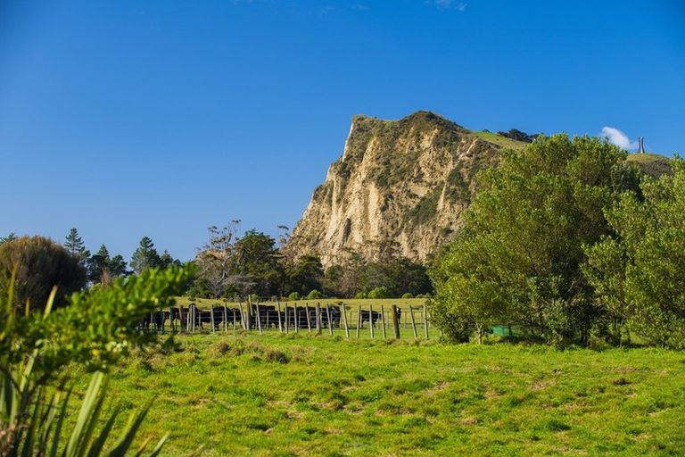 Photo of property in 20b Rangiuia Road, Tolaga Bay, 4077