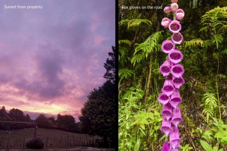 Photo of property in 21a Hamilton Road, Lake Rotoma, Rotorua, 3074